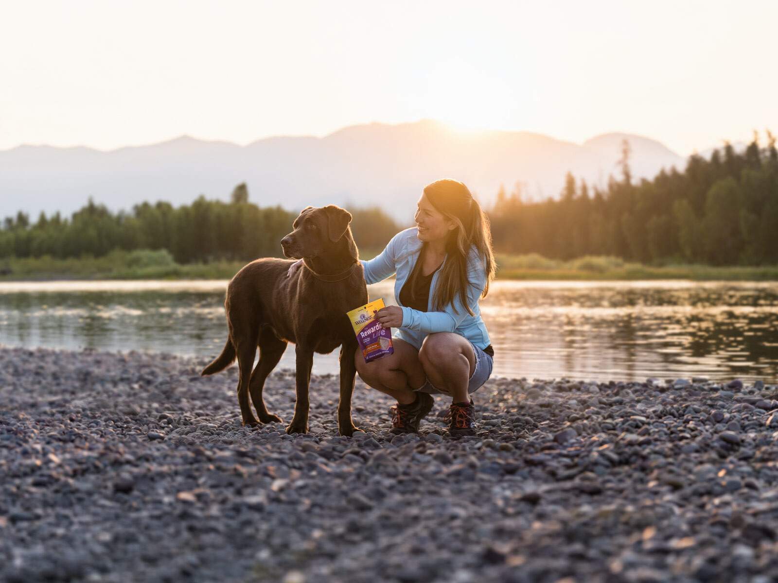 Wellness Pet Food